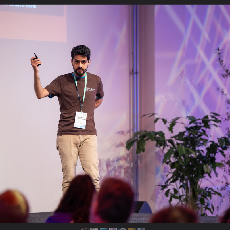 Muhammad Chenariyan Nakhaee